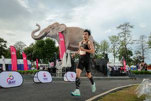 BIB: 
                            <button type="button" onclick="openModal(26528402)" class="btn btn-primary btn-sm float-right btn-popup" data-toggle="modal" data-target=".modal-high-quality">
                        <i class="fas fa-shopping-cart"></i> Add to Cart
                    </button>
                                            <button type="button" onclick="isThisMe(26528402, true)" class="btn btn-success btn-sm float-right btn-popup btn-isme hidden" data-toggle="tooltip" data-placement="bottom" title="นี่คือรูปของคุณใช่ไหม คลิกที่นี่เพื่อเอาเข้าอัลบั้ม">
                        <i class="fas fa-plus"></i> Add to album
                    </button>
                    <button type="button" onclick="isThisMe(26528402, false)" class="btn btn-warning btn-sm float-right btn-popup btn-isnotme hidden">
                        <i class="fas fa-ban"></i> Remove from album
                    </button>